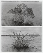 Island Destruction II ( Composite of 2)