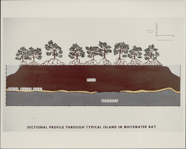 Sectional Profile of Typical Island in White Water Bay - recto