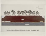 [1960/1970] Sectional Profile of Typical Island in White Water Bay