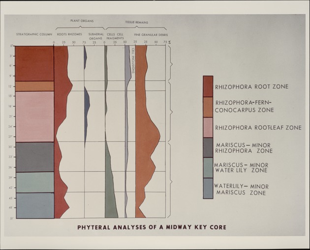 Phyteral Analysis - Midway Island Core - recto