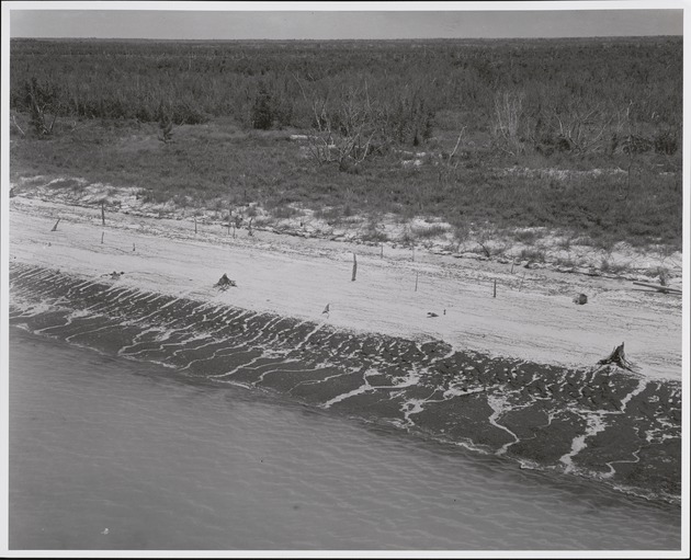 Deposited Epitermerally on Cape Sable - recto