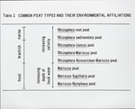 Common Peat Types and Their Environmental Significance