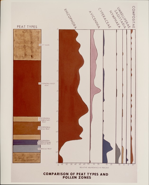 Comparison of Peat Types & Pollen Zones - recto