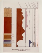[1960/1970] Comparison of Peat Types & Pollen Zones