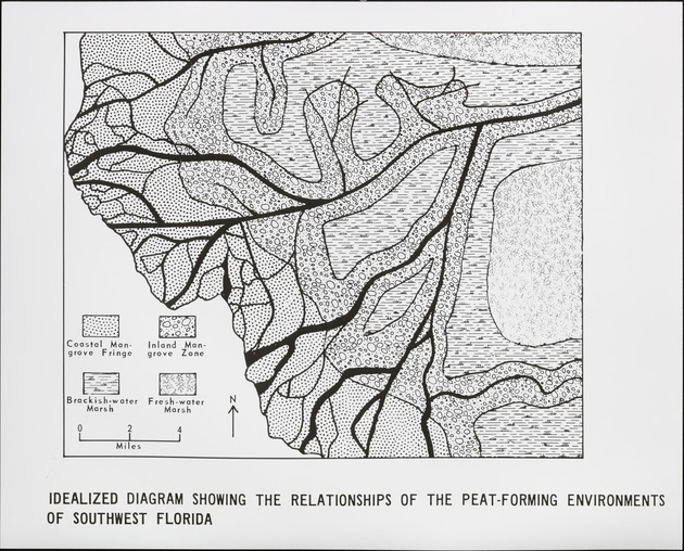 Idealized Peat Forming Environments - recto