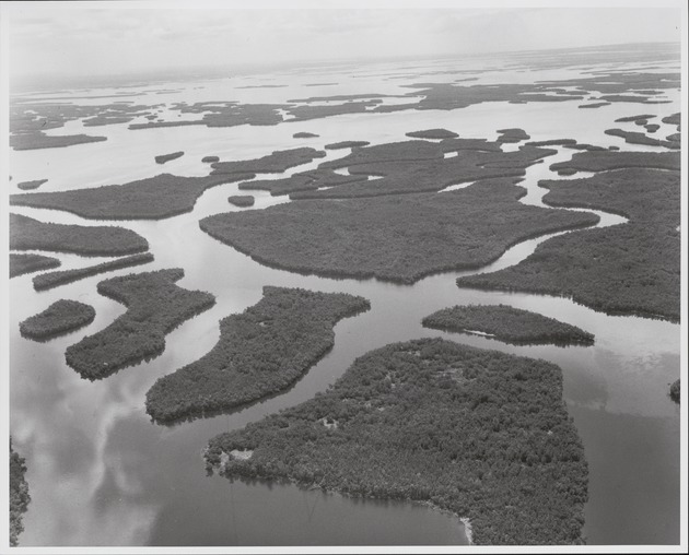 Dissected Islands at Shark River Mouth - recto