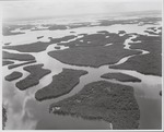 [1960/1970] Dissected Islands at Shark River Mouth