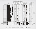 [1960/1970] Stratigraphy and Pollen Distribution at Site 58-T-1