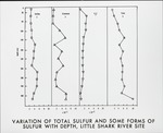 [1960/1970] Summary: Sulfur in Peat at Little Shark River Site