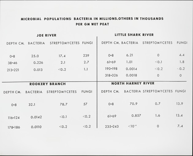 Microbial populations at Little Shark River and other Sites - recto