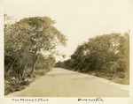 The Mizner Mile, Boynton Fla, 1925