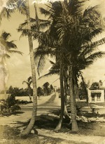 East Ocean Avenue, 1925