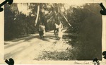 A Walk on East Ocean Avenue, c. 1925