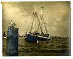 The Turtle schooner A.M. Adams in Key West harbor