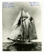 The schooner William H. Albury of Man of War Cay underway