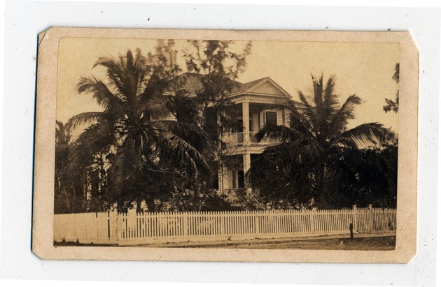 View of mansion behind palm trees