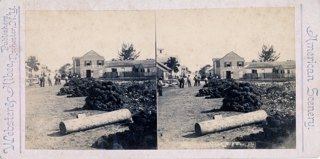 Sponge Wharf in Key West