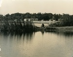Man fishing in lake at Royal Palm Park looking west
