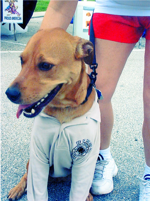 Dog wearing city of Oakland Park shirt