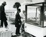 [1974] Putting Burke in the Paddy Wagon