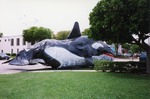 [1995] Killer Whale Float