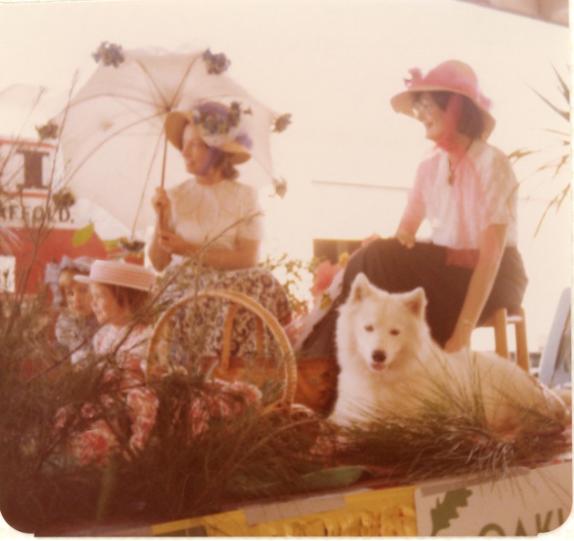 Library Parade Float, 1978