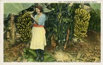 A Florida Peach in a Banana Grove, 1925