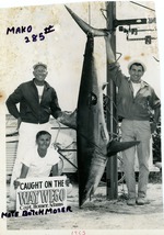 Mako caught on the Waywego, 1965