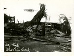 [1911] City park of West Palm after a storm, c. 1911