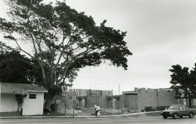 Champion tree next to library construction, 1988 - 