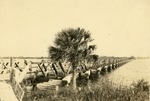 Bridge over Palm City, c. 1927