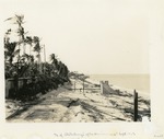 Hurricane damage near Stotesbury Palm Beach estate, 1928