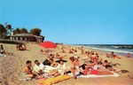 Sunny Day on Briny Breezes' Beach, c. 1956