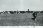 North field polo grounds cows, 1938
