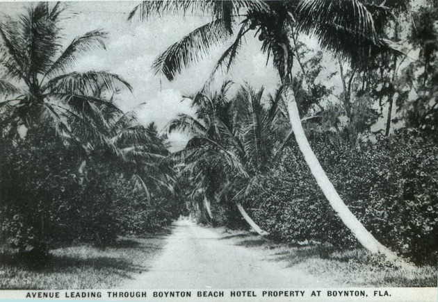 Avenue leading through Boynton Beach Hotel Property at Boynton, Fla., c. 1925