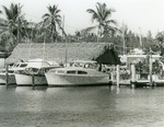 Two Georges Harbor Hut, c. 1988