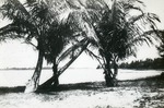 Cove at Lantana, c. 1925