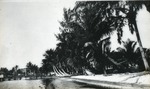 Lantana shoreline south of bridge, c. 1935