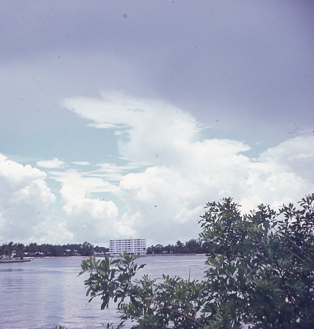 Lantana from bridge, c. 1975