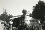 Lantana Shell Shop, 1946