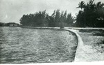 [1946] South side of Lantana point, 1946