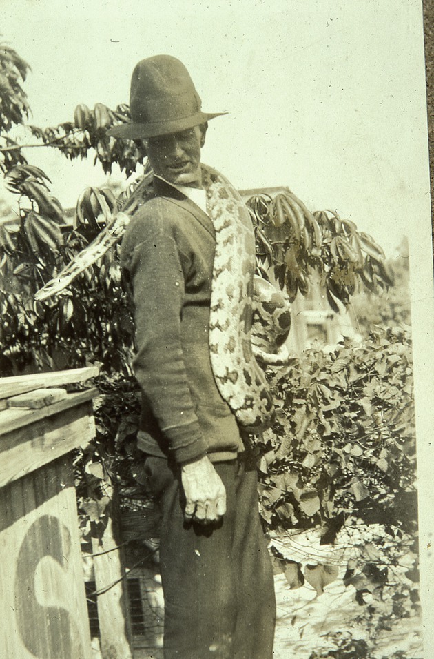 Fred W. Anderson with snake, c. 1946