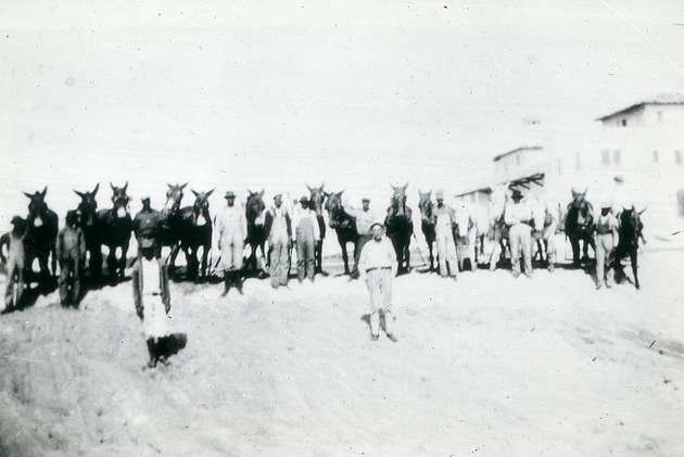 Mule race, c. 1923