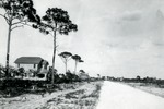 Road with several houses in Kelsey City, c. 1923