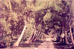 North Lake Drive, Lantana, c. 1946