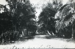 Lantana Avenue, c. 1925
