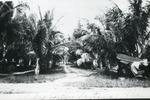 [1920/1929] Lake Drive, Lantana Florida, c. 1925