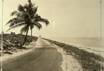 Ocean Highway, c. 1945