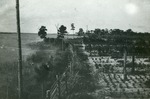George Lyman's garden at Lake Osborne, c. 1925
