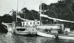 Boats moored along shore, c. 1905